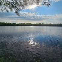 Sun reflections on a Maine lake